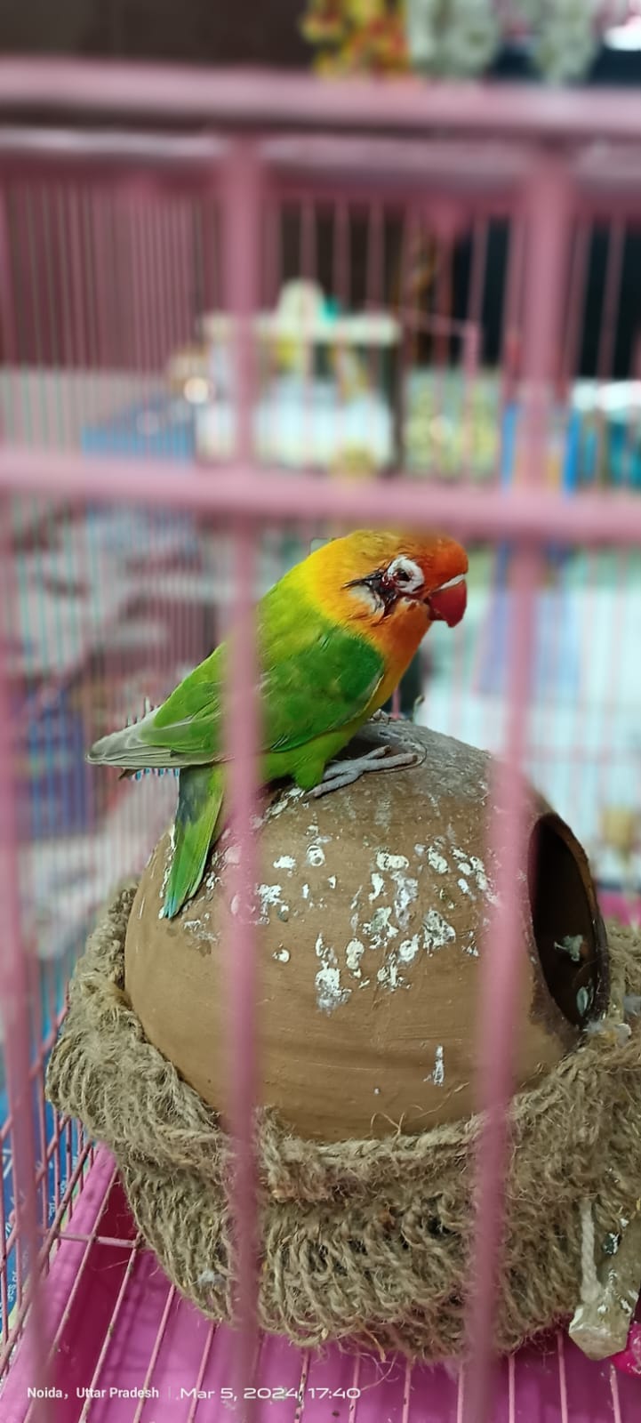 update image