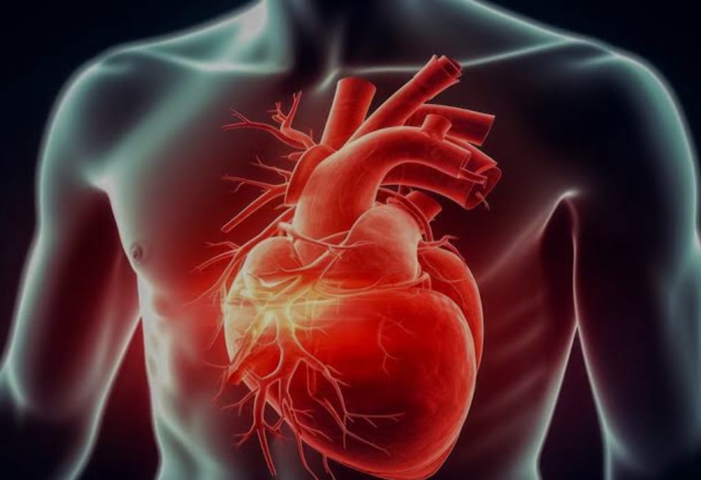 When it comes to advanced heart care, Integrity Ho... main image