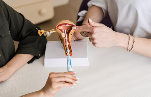 Safe and Effective Oophorectomy in Chennai at S... main image