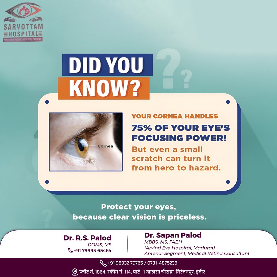The cornea, the transparent outer layer of the eye... main image