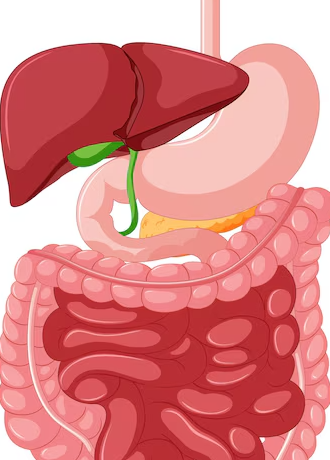 Medical Gastrologist in Chennai for Stomach and Li... main image