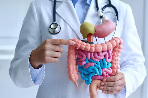 Medical Gastroenterology at Pride Super Special... main image