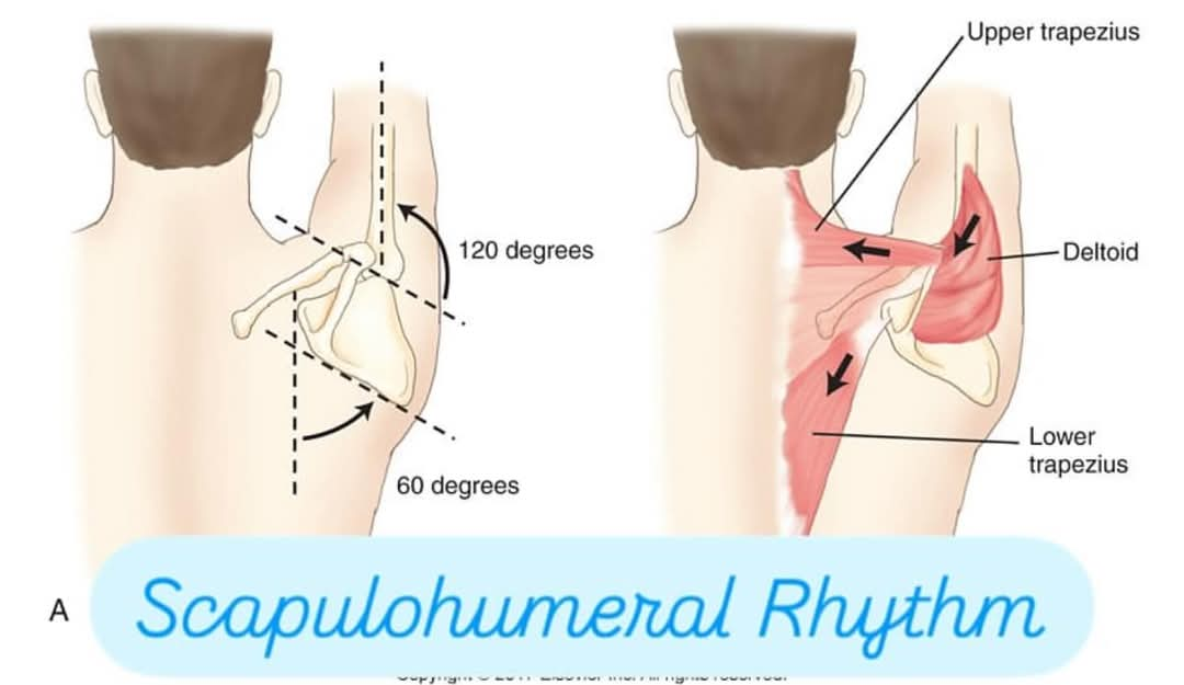 Physiotherapy clinic in Tambaram<br>Are you Lookin... main image