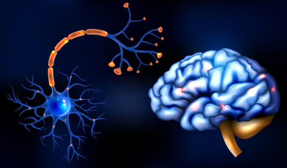 Neurology Services at Galaxy Multispeciality Ho... main image
