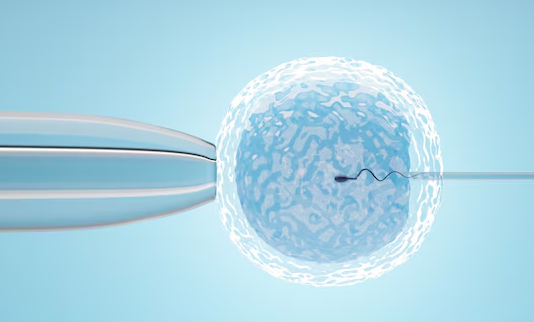 IVF Treatment in Chennai – A Step Towards Paren... main image