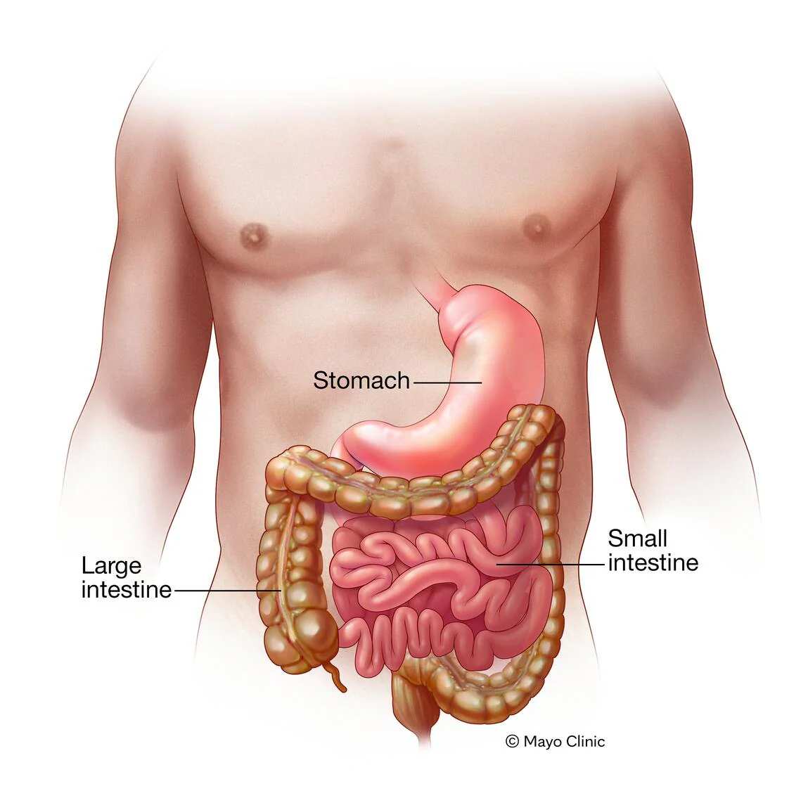 Gastroenteritis Treatment in Nashik Road, Nashi... main image