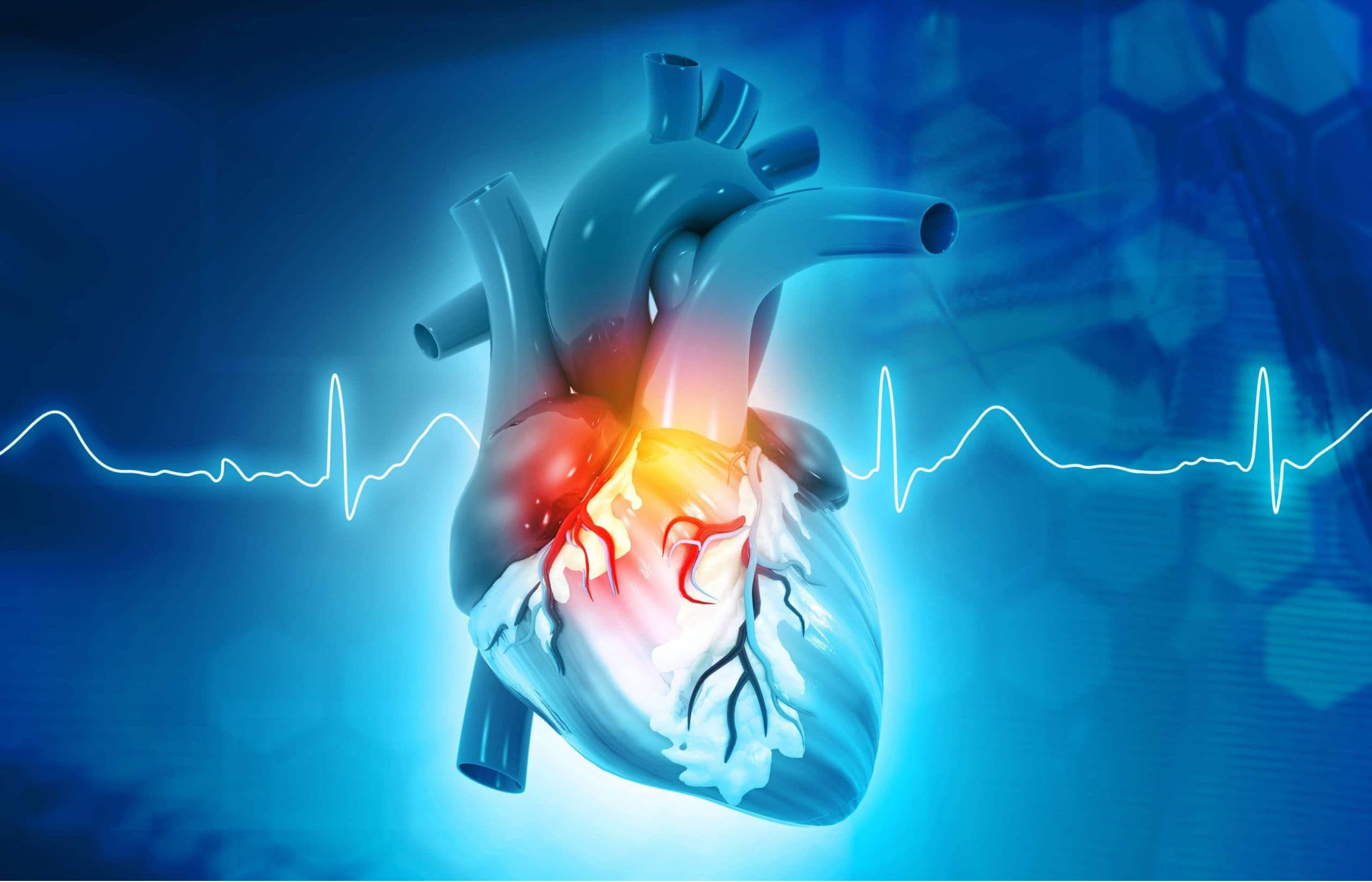 Cardiology Hospital in Pune Heart health is cru... main image