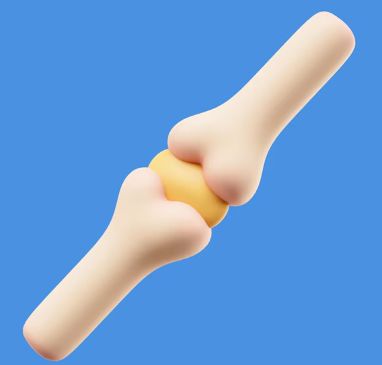 Joint Preservation in New Delhi: Protect Your J... main image