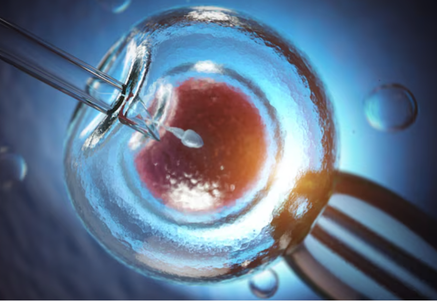 Best IVF Clinic in Chennai – Trusted Expertise ... main image