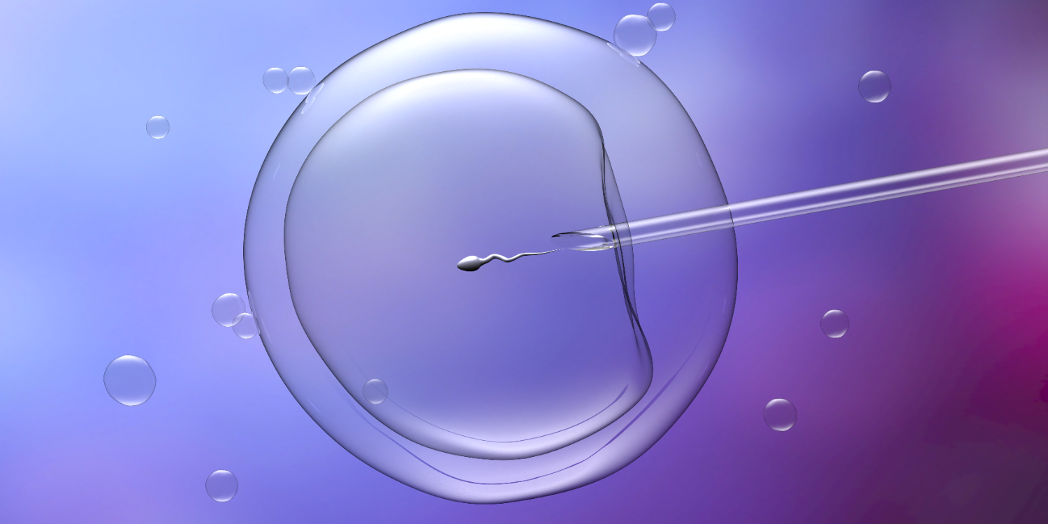 Best IVF Hospital in Chennai – Comprehensive Fe... main image