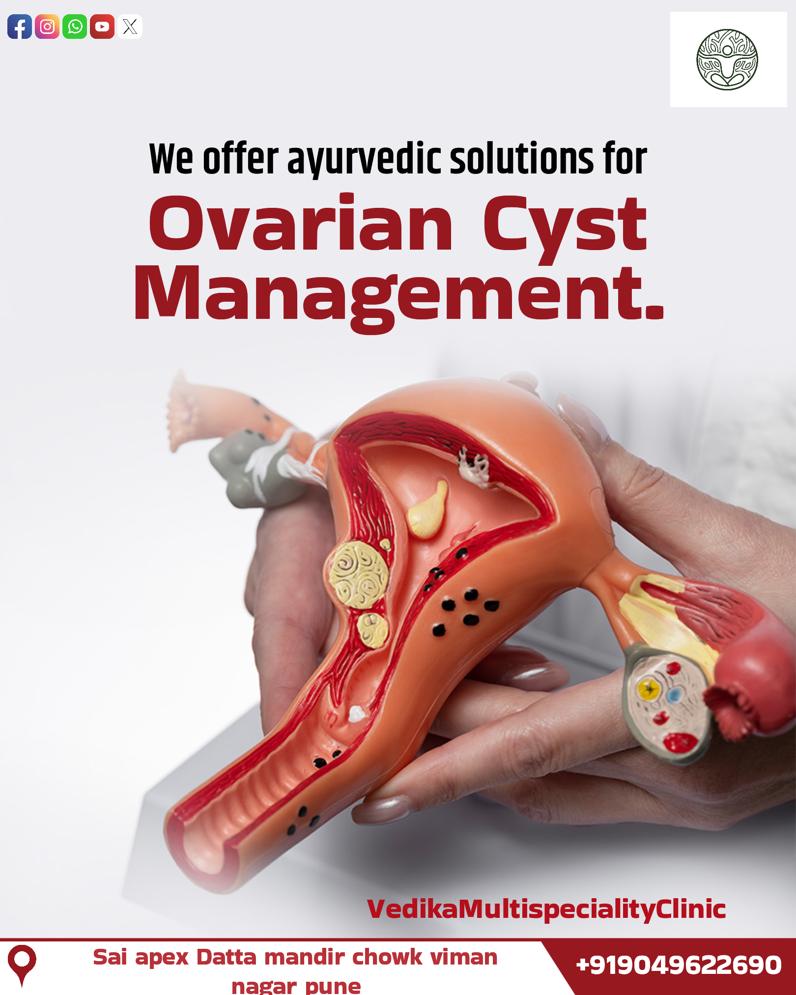 ** Ayurvedic Solutions for Ovarian Cyst Managem... main image