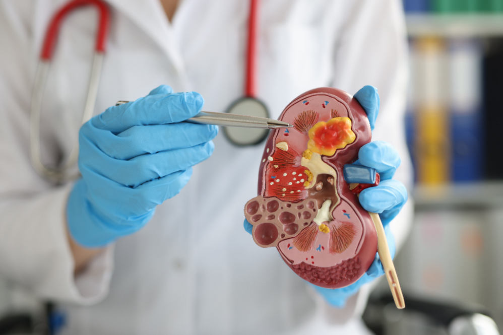 Urology Hospital in Pimple Saudagar – Comprehen... main image