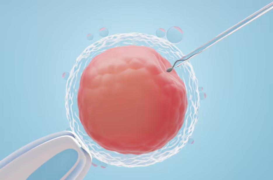 Best IVF Specialist in Chennai – Expert Fertility ... main image