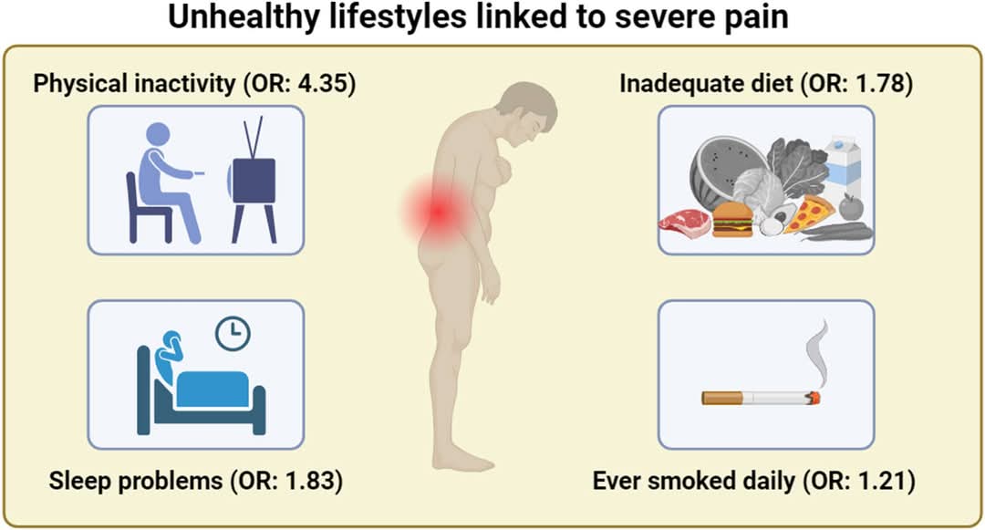 LATEST ➡️ Physical inactivity is the most importan... main image