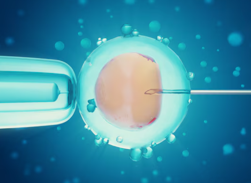 IVF Treatment in Chennai – High Success Rates a... main image