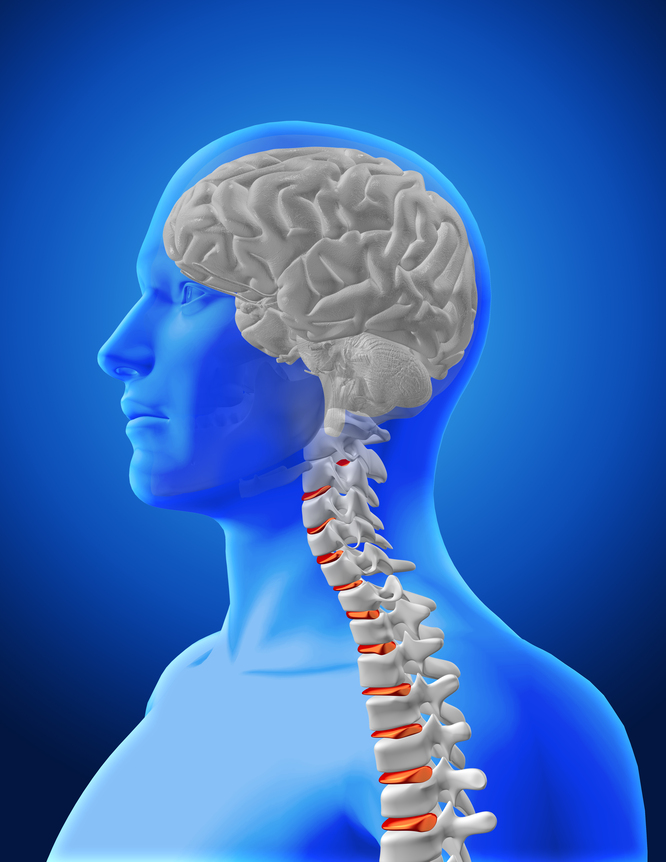 Best Brain and Spine Specialist in Jaipur: Advance... main image
