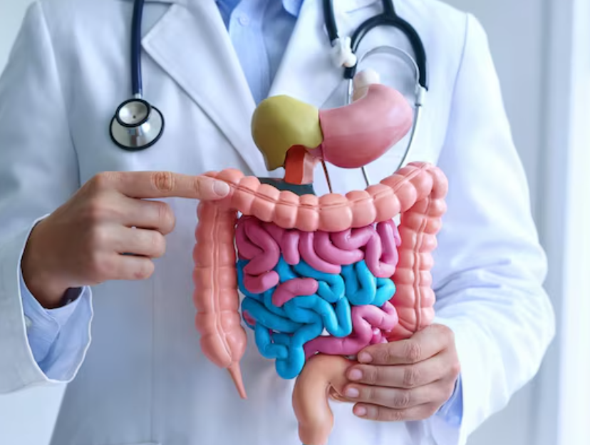 Comprehensive Gastroenterology Care at Medinova Su... main image