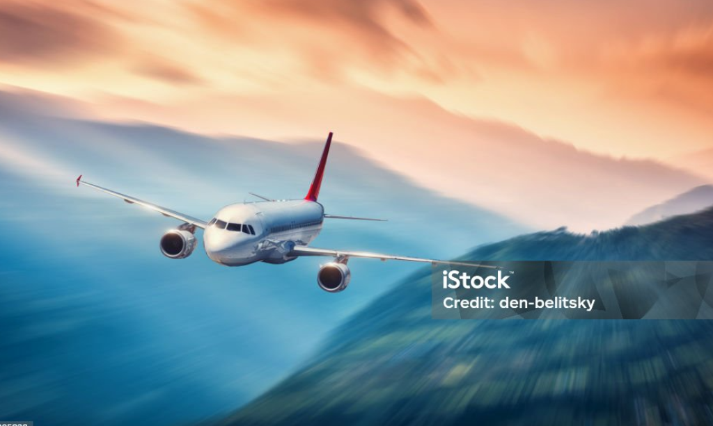 Flight tic