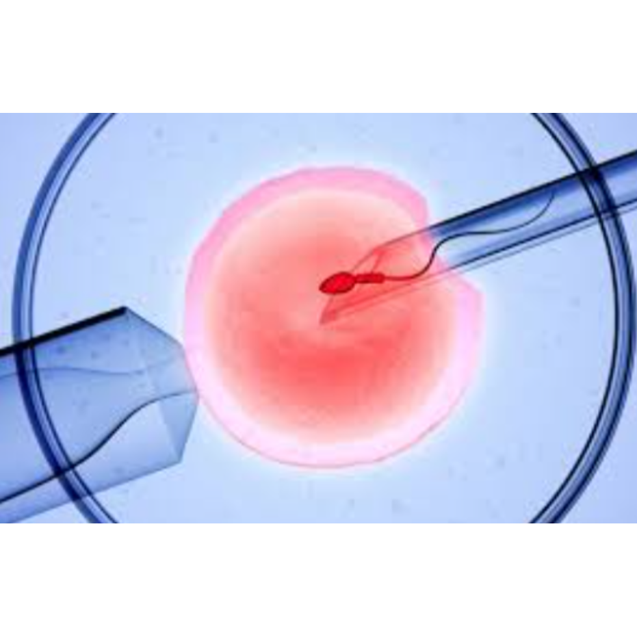 Best IVF Specialist In Pune – Trusted Fertility... main image