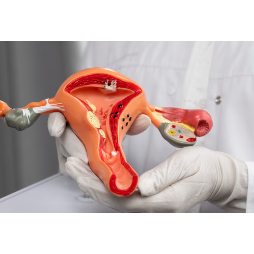 IUI Treatment in Chennai – A Simple and Effective ... main image