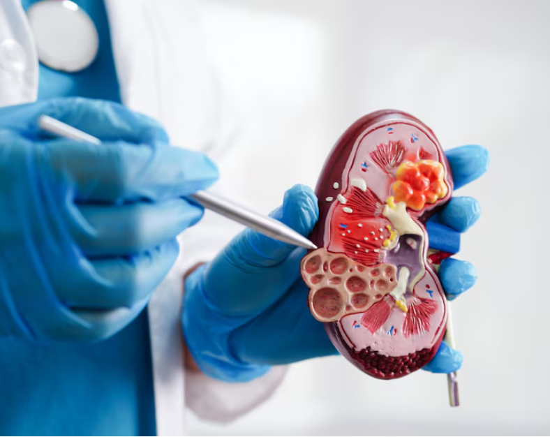 Comprehensive Urology Care at Medinova Super Speci... main image