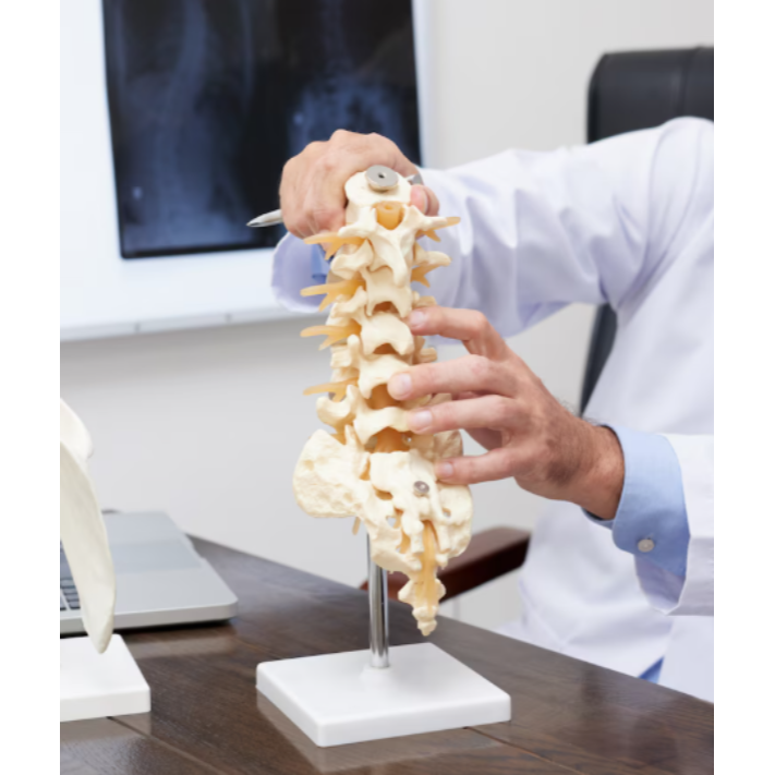 Advanced Spine Treatment in Chennai – Expert Su... main image