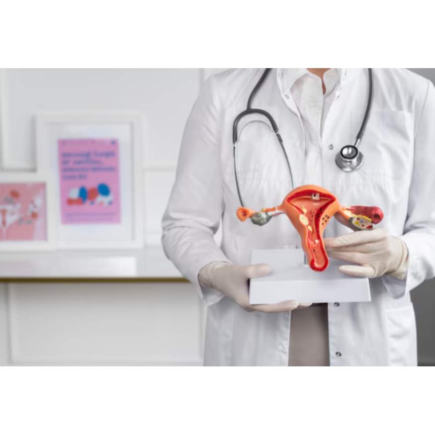 PCOS Treatment in Chennai – Regulating Hormones... main image