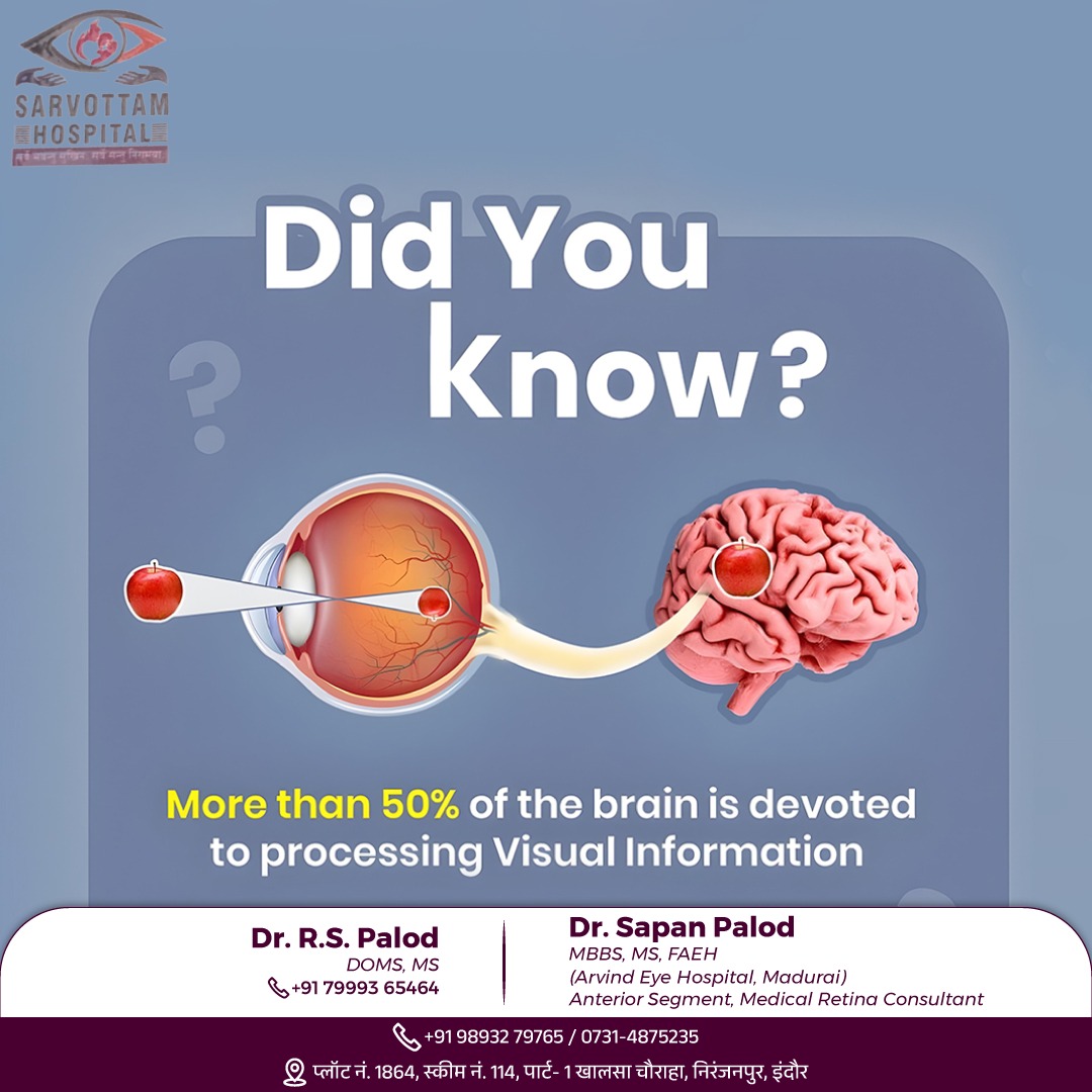 That's fascinating! The brain's visual processi... main image