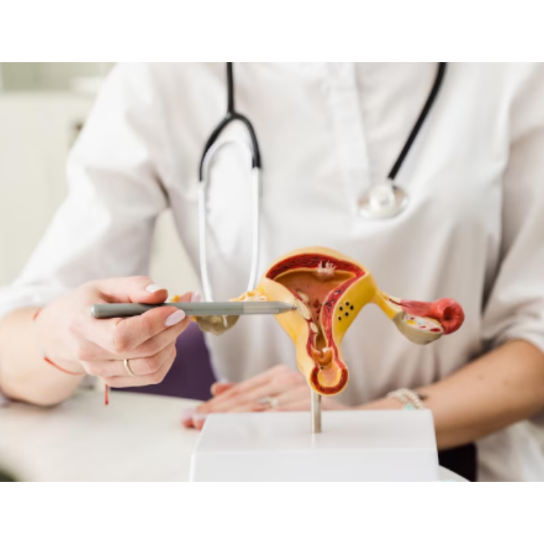 Irregular Periods Treatment in Chennai – Restor... main image