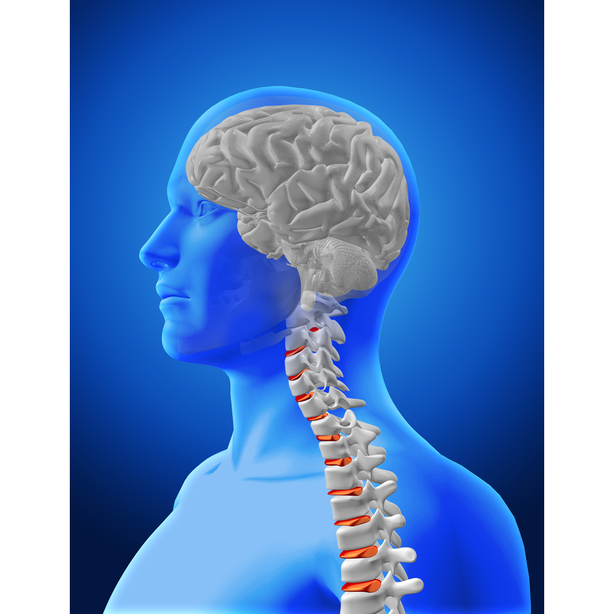 Best Neurosurgeon in Jaipur for Advanced Brain and... main image