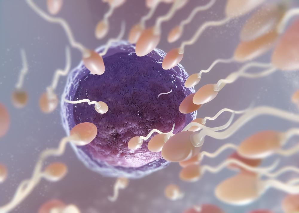 Best IVF Treatment in Chennai – High Success Ra... main image