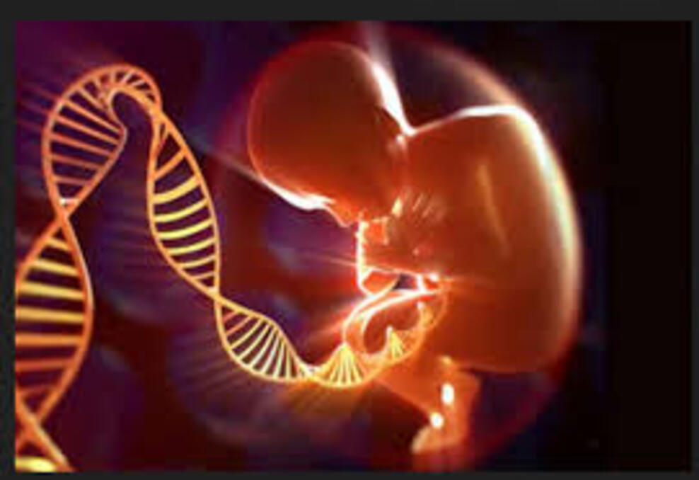 Best Fetal Medicine Specialist In Pune – Early ... main image
