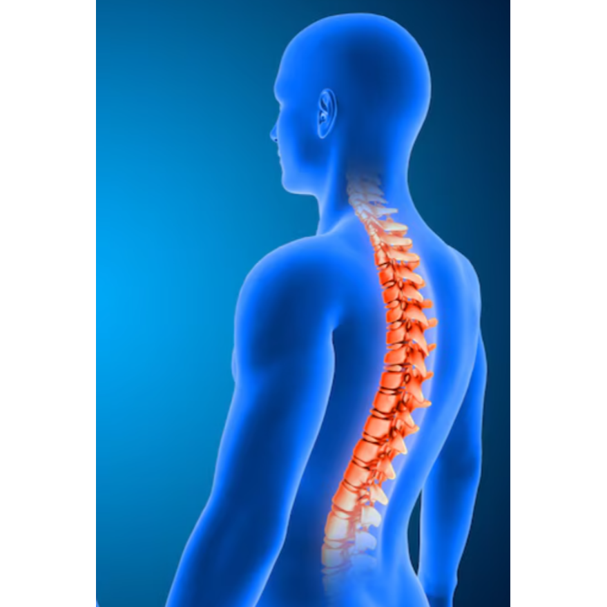 Best Spine Surgeon in Jaipur for Comprehensive Spi... main image
