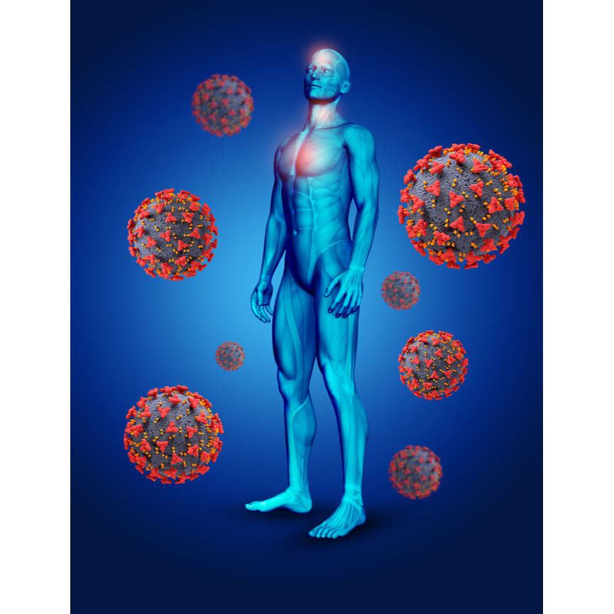 Best Autoimmune Disorder Treatment in New Delhi... main image