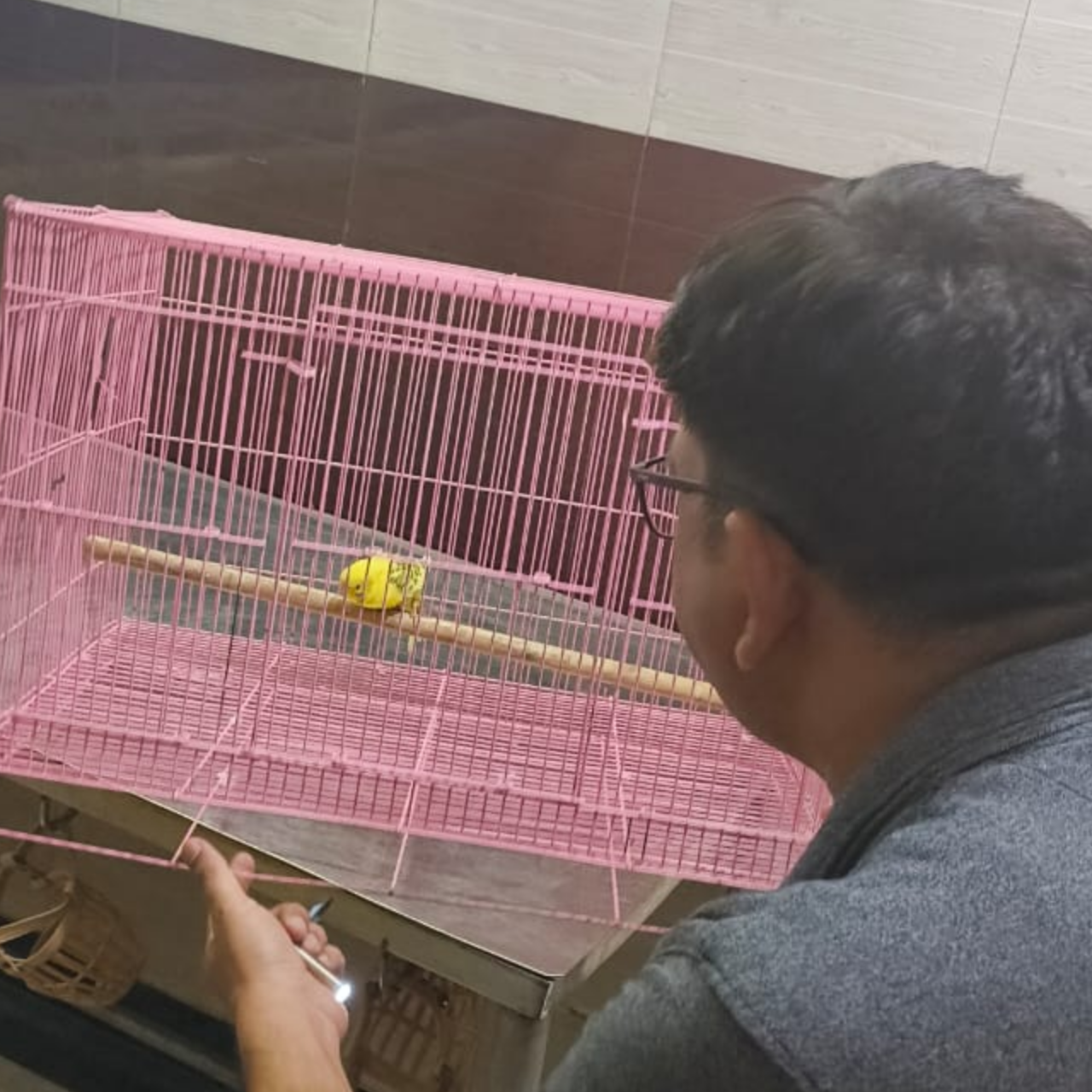 update image