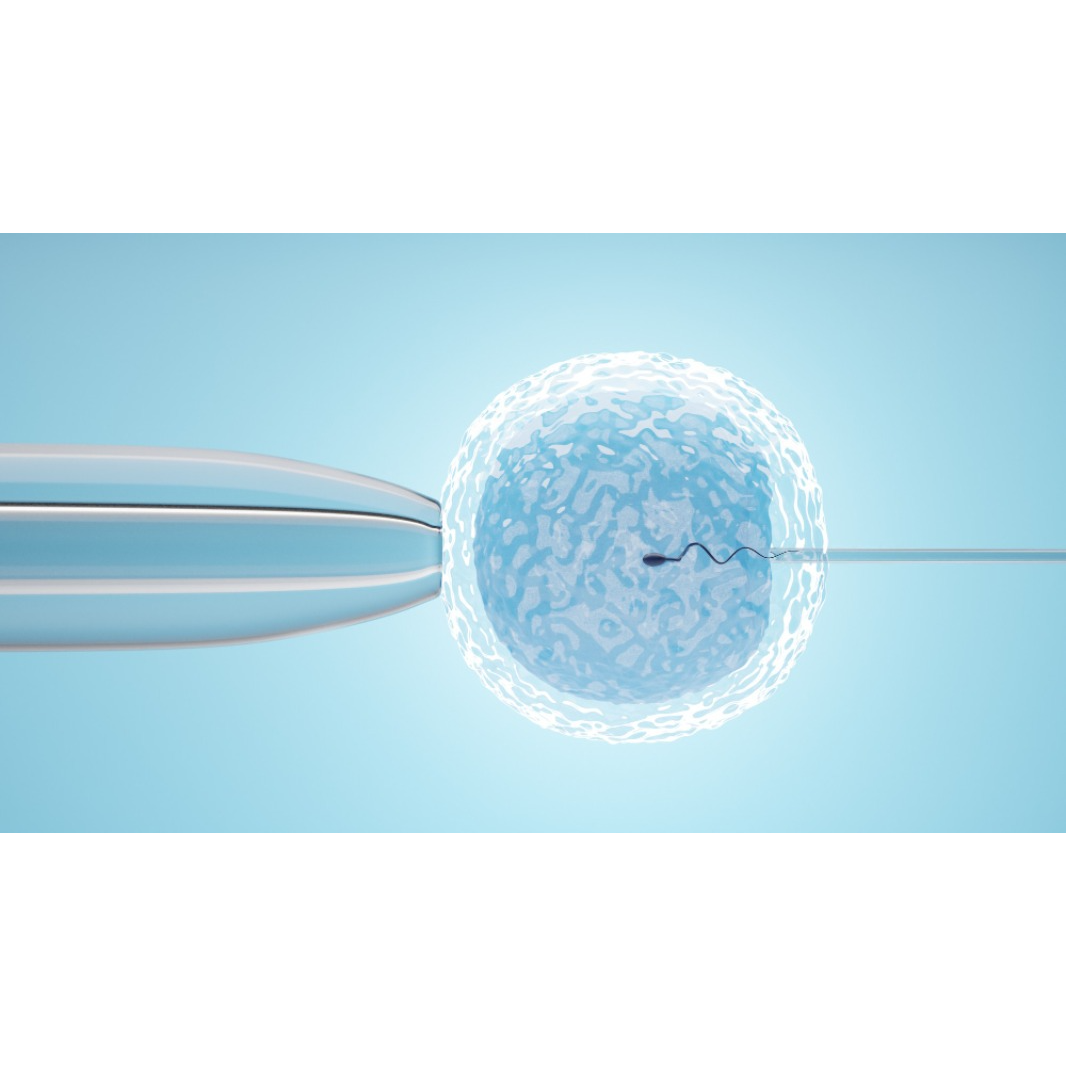 IVF Specialist in Pune: Personalized Fertility Sol... main image