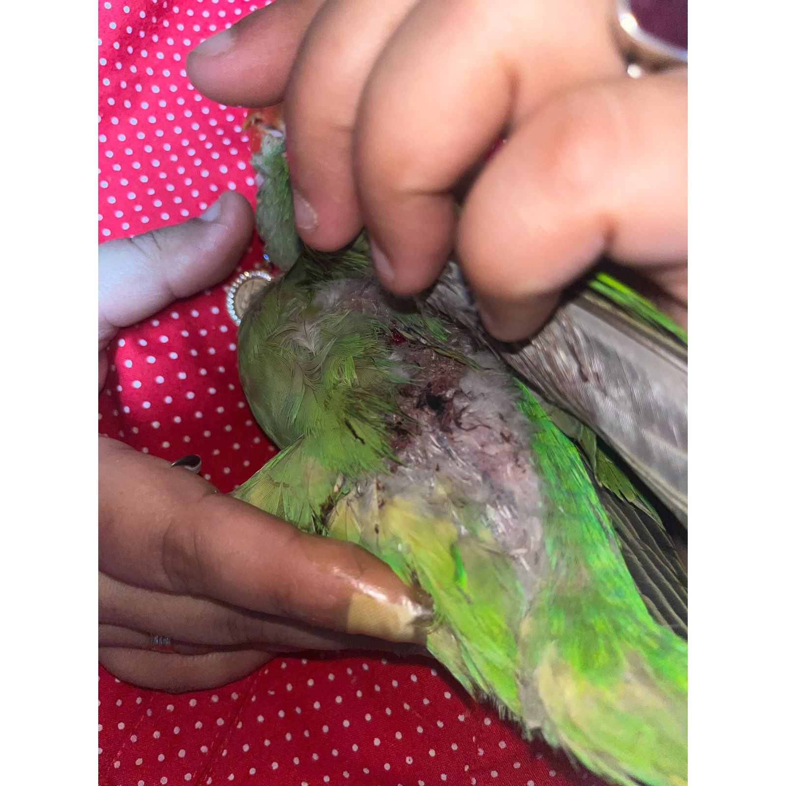 update image