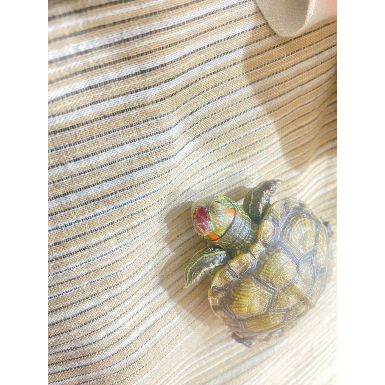 update image