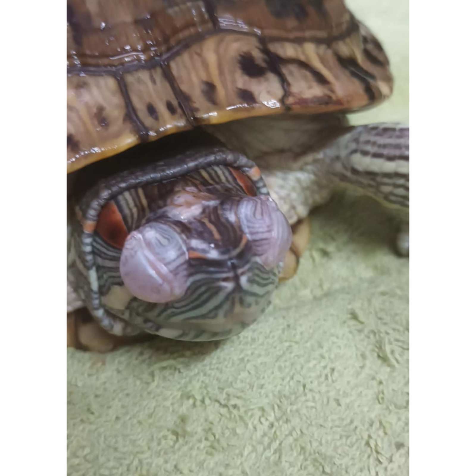 update image