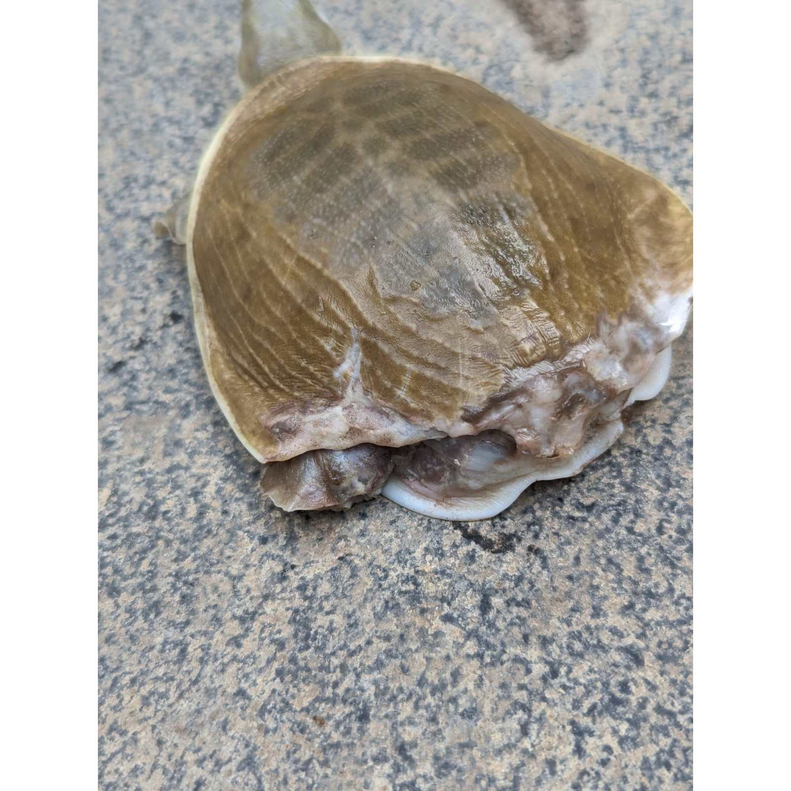 update image