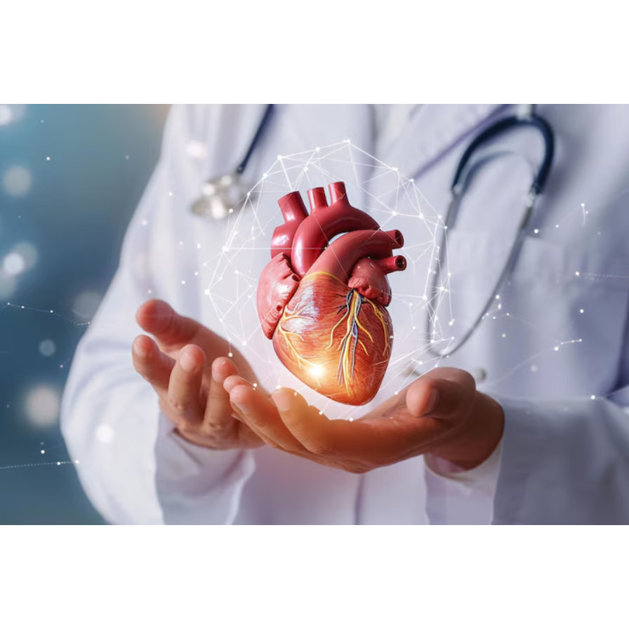 Comprehensive Cardiology Care in Navi Mumbai Heart... main image