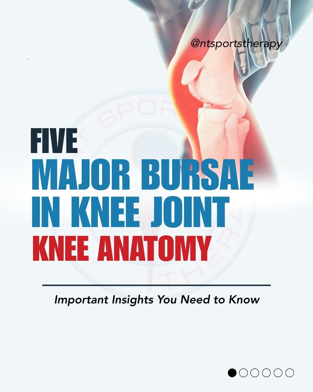 5 Major Bursae in the Knee Joint 🦵 Did you know yo... main image
