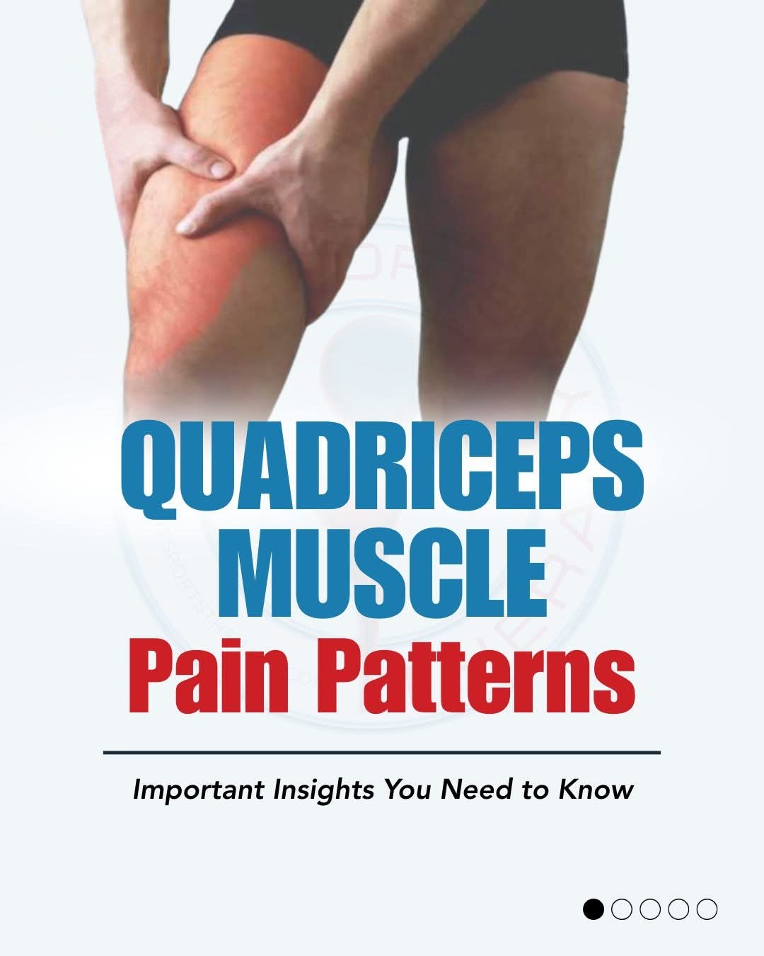 The quadriceps is a powerful group of four muscles... main image