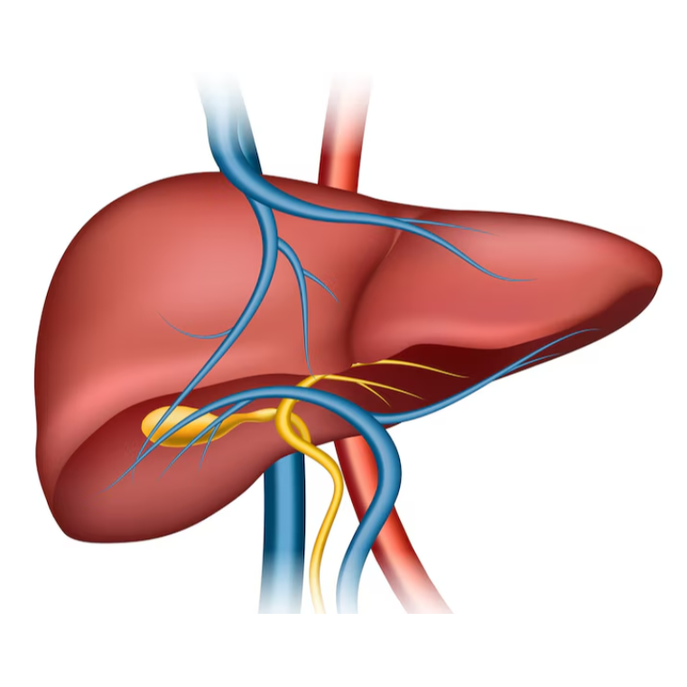 Robotic Liver Resection in Hesaraghatta: Precis... main image