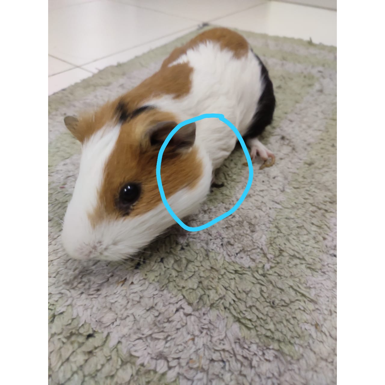update image