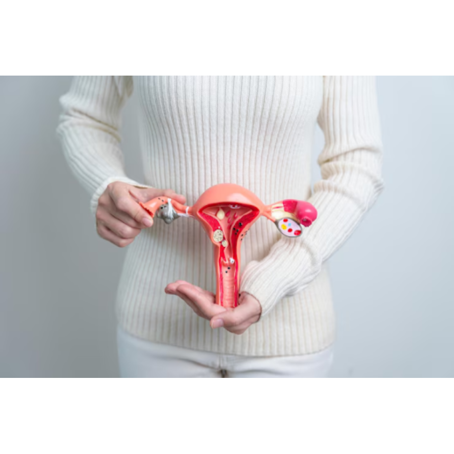 Endometriosis Treatment in Pune: Relief from Chron... main image