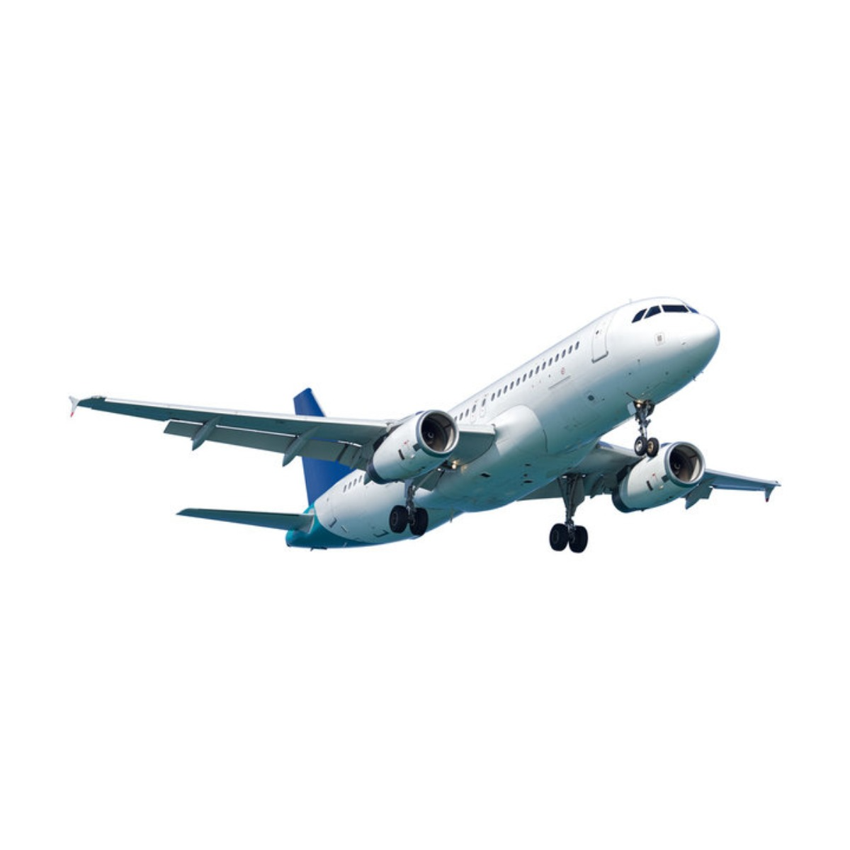 Flight tic