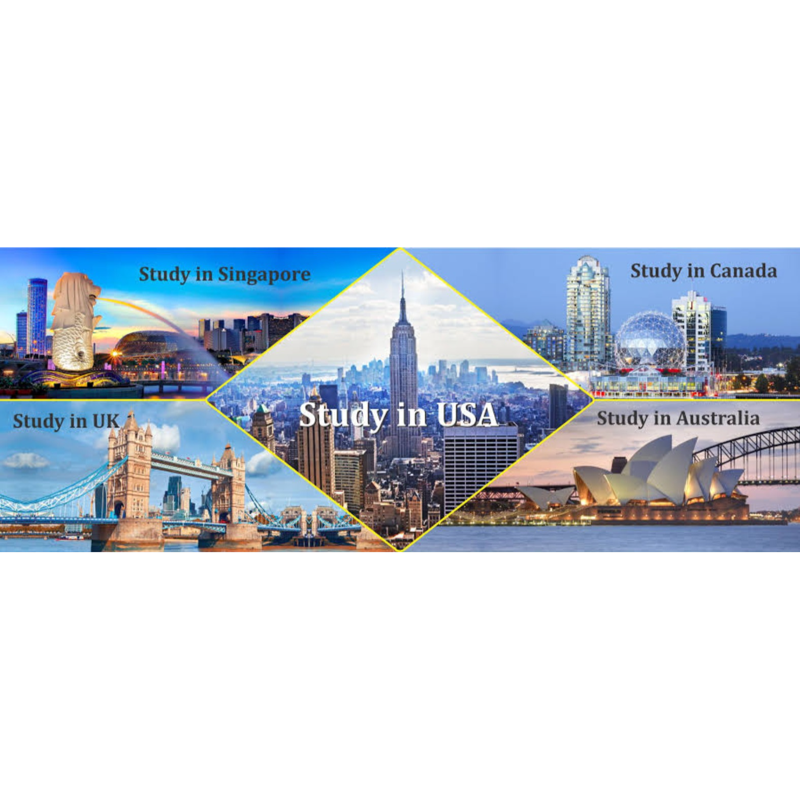 Study MBBS