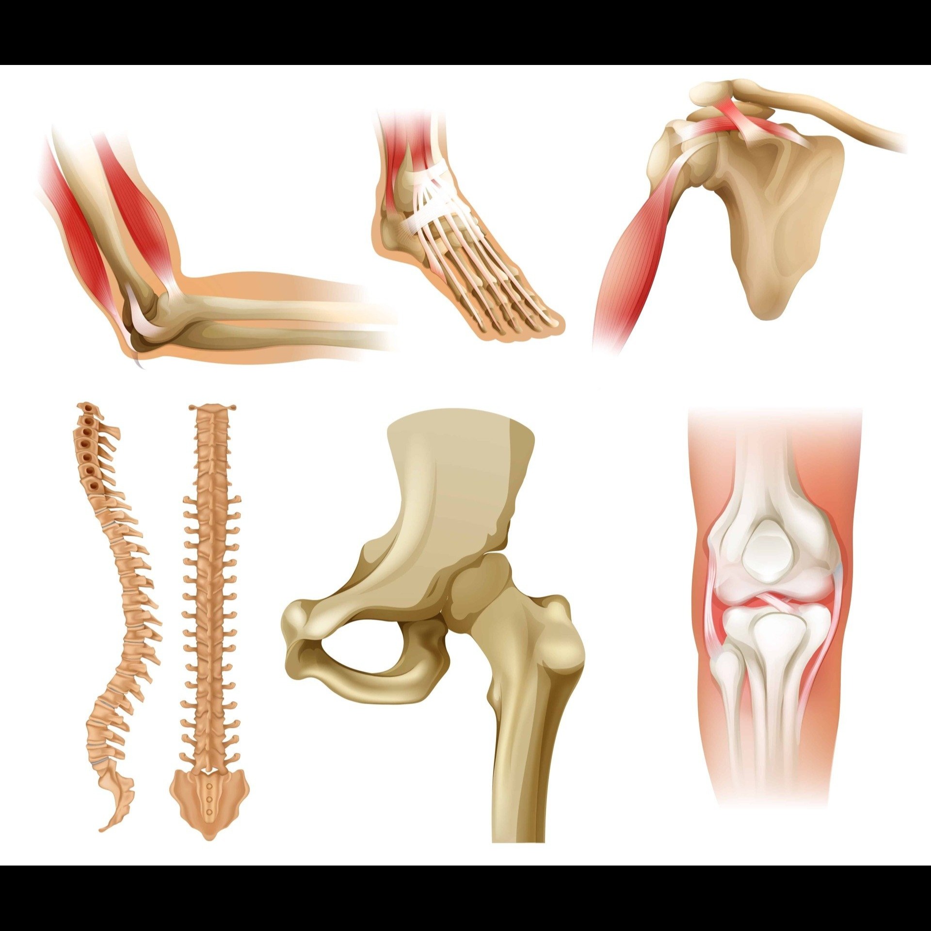 Bone and Joint Clinic in Gaur City main image