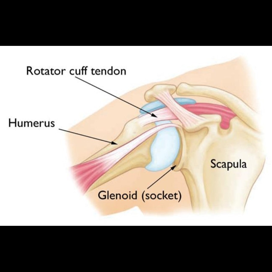 Shoulder Replacement Surgeon in Gaur City main image